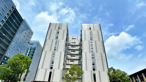 共保科技新里程，力合佛山科技園二期高端產(chǎn)業(yè)載體即將啟用