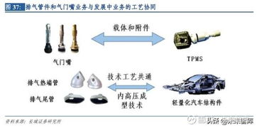 汽車電子專題報(bào)告 保隆科技深度解析與共保科技趨勢展望